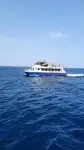Katamaran satılık