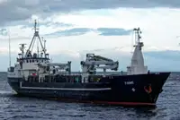 Yığın taşıyıcı satılık