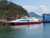 Yolcu gemisi satılık