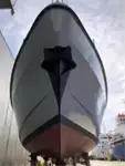 devriye botu satılık