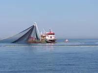 Balıkçı gemisi satılık