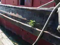 Çekme teknesi satılık