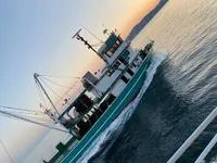 Çift ağlı trol satılık