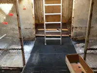 Trol gemisi satılık