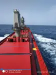 Yığın taşıyıcı satılık