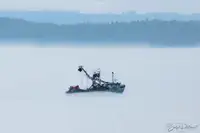 Çift ağlı trol satılık