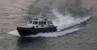Devriye botu satılık