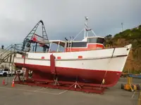 Trol gemisi satılık
