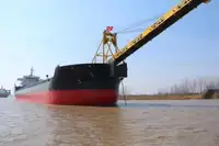 Dökme yük gemisi satılık