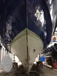 Devriye botu satılık