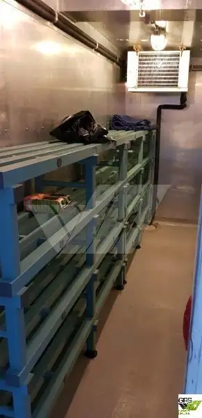 Kruvaziyer gemisi satılık