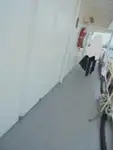Devriye botu satılık