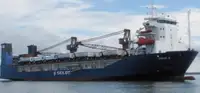 Dökme yük gemisi satılık