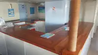 Katamaran satılık