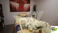 Kruvaziyer gemisi satılık