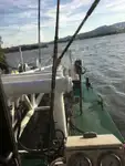 Dredger (Kazık çakma gemisi) satılık