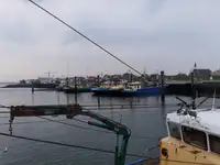 Trol gemisi satılık