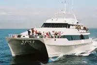 Katamaran satılık