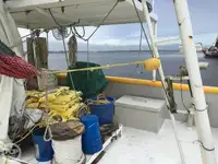 Trol gemisi satılık
