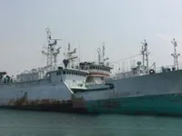Uzun hatlı balıkçı gemisi satılık