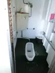 Kruvaziyer gemisi satılık