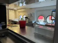 Kruvaziyer gemisi satılık
