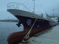 General Cargo/Multi-purpose satılık