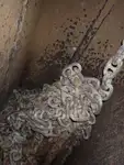 Yığın taşıyıcı satılık