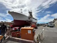 Trol gemisi satılık