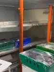 Kruvaziyer feribotu satılık