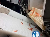 Trol gemisi satılık