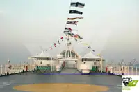 Ro-Ro gemisi satılık