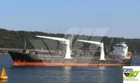 Yığın taşıyıcı satılık