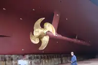 Kruvaziyer gemisi satılık