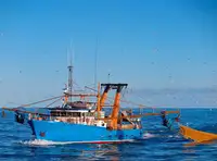 Trawler satılık