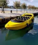 Yolcu gemisi satılık