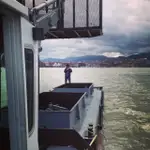 Mavna satılık