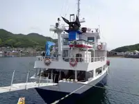 Dökme yük gemisi satılık