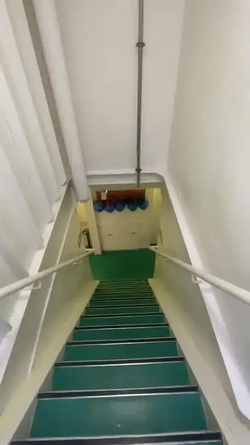 Kruvaziyer gemisi satılık