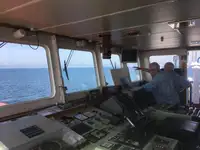 Yığın taşıyıcı satılık