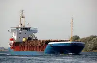Yığın taşıyıcı satılık