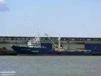 Çift ağlı trol satılık