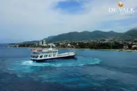 Feribot satılık