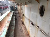 Kalamar avlama gemisi satılık