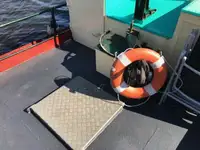 Çekme teknesi satılık