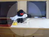 Trol gemisi satılık