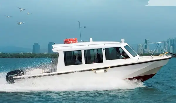 Passenger ship for sale
