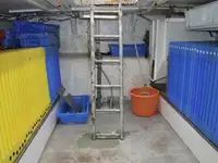 Trol gemisi satılık