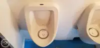 Katamaran satılık