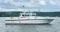 devriye botu satılık